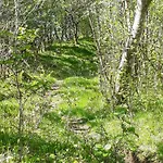 Beach Front Apartment In Svortevik With Wifi Apartament *